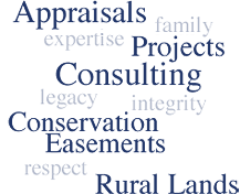 Appraisals, reports, consulting, property sales, easements